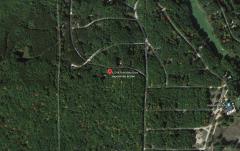12299 Pine Mesa Dr, Canadian Lakes, MI
